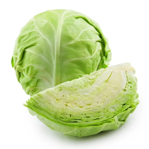 Cabbage White GCC