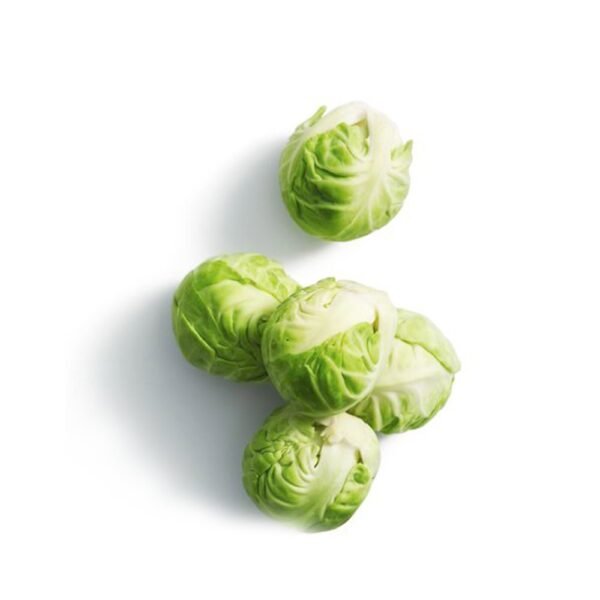 Brussel Sprout Holland