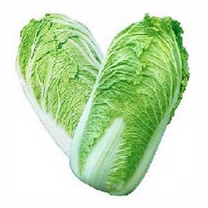 Cabbage Chinese GCC