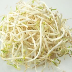 Beans Sprout China