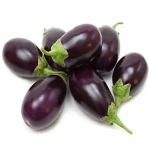 Eggplant Baby GCC