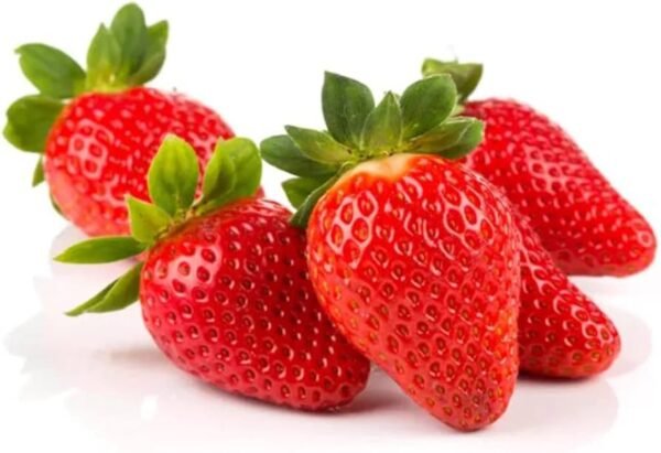 strawberry south africa