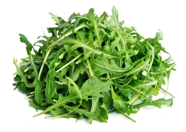 Rocket Leaves Italy