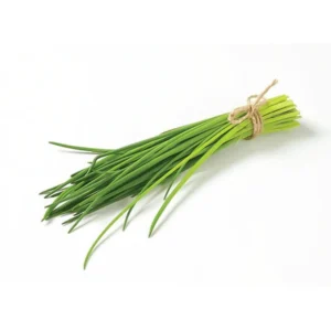 Chives Holland