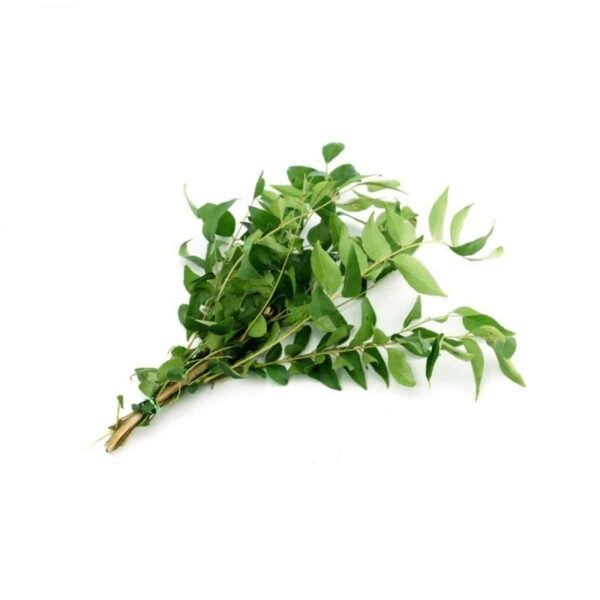 Curry Leaves India