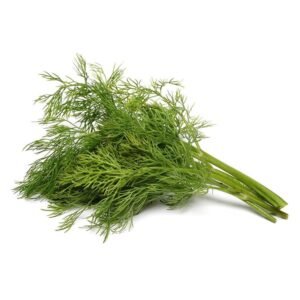 Dill Leaves GCC