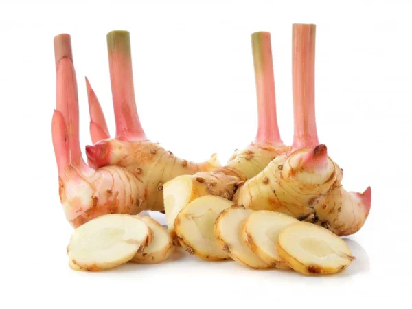 Galangal Thailand