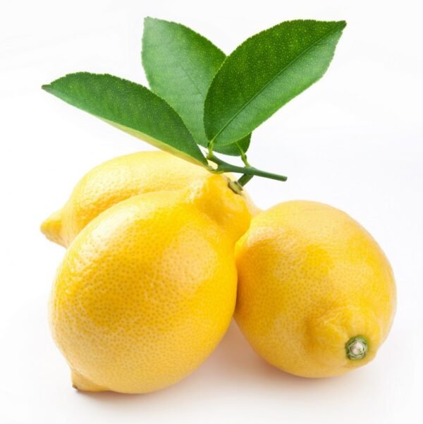Lemon South Africa