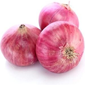 Onion Red India / Pakistan