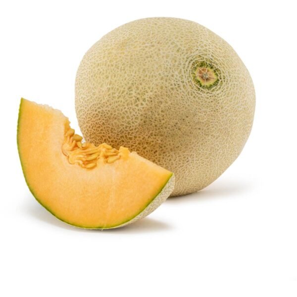 Rock Melon GCC