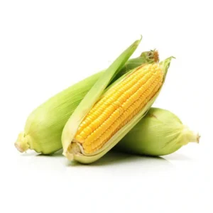 Sweet Corn GCC