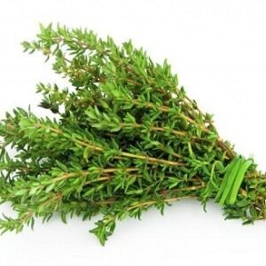 Thyme Kenya
