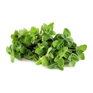 Zaatar Leaves GCC