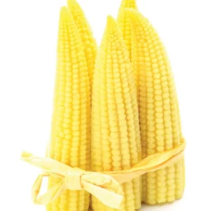 Corn Baby Thailand