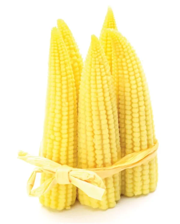Corn Baby Thailand