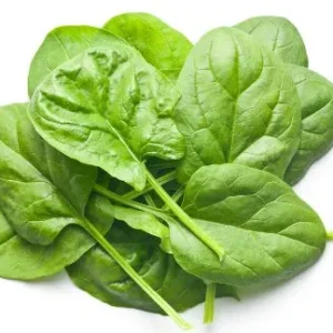 Spinach Baby Italy