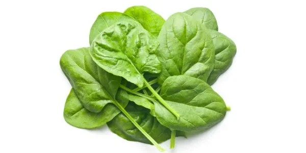 Spinach Baby Italy