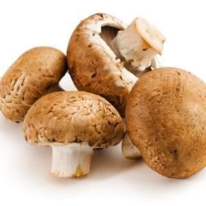 Mushroom Brown