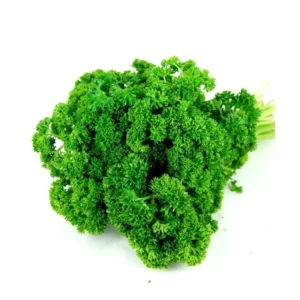Parsley English Holland