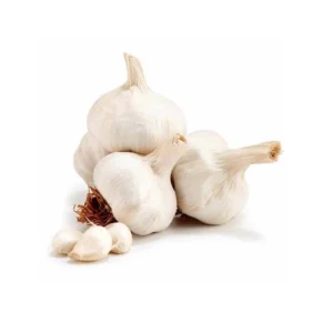 Garlic China