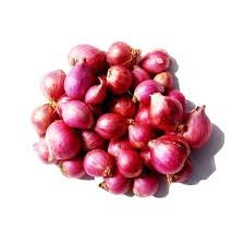 Onion Shallot India