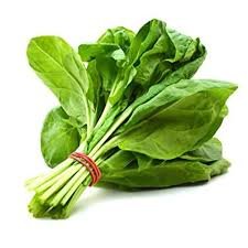 Spinach GCC