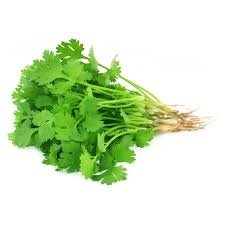 Coriander Leaves GCC