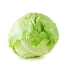 Lettuce Iceberg GCC