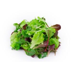 Lettuce Mesculin Italy