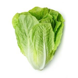 Lettuce Romaine GCC