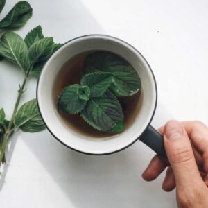 Mint Leaves