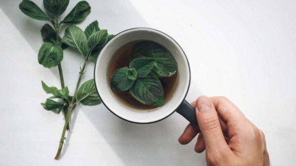 Mint Leaves