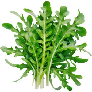 Rocca Leaves - Local GCC