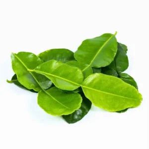 Lime Leaves Thailand