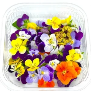 Edible Flowers Holland