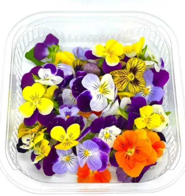 Edible Flowers Holland